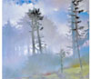 Buckner pastel thumbnail image